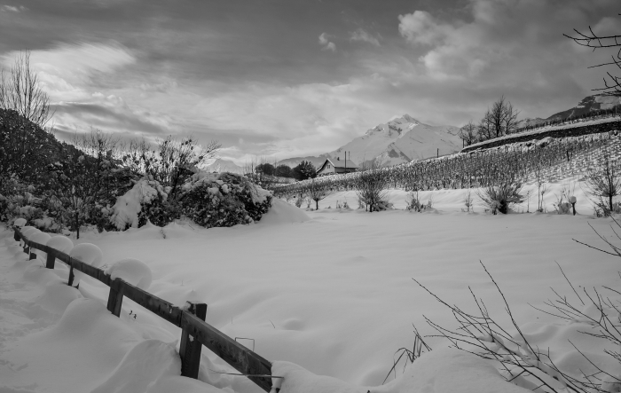 white moods