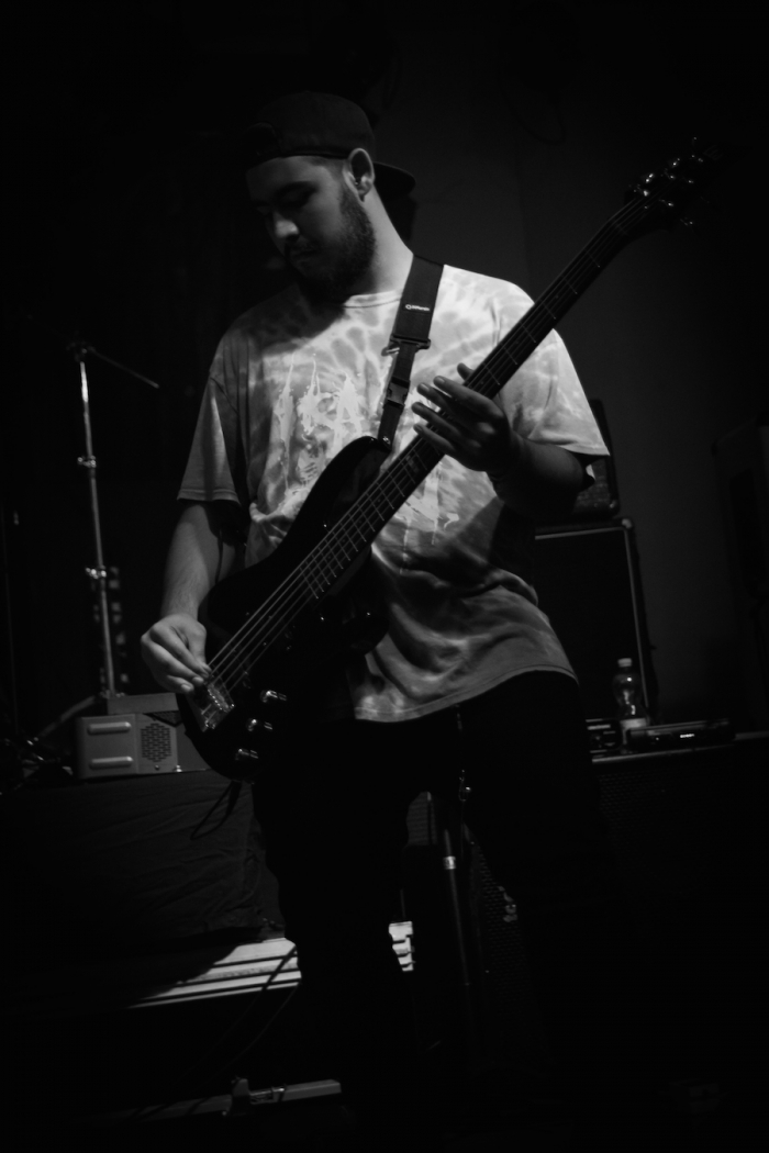 bassist